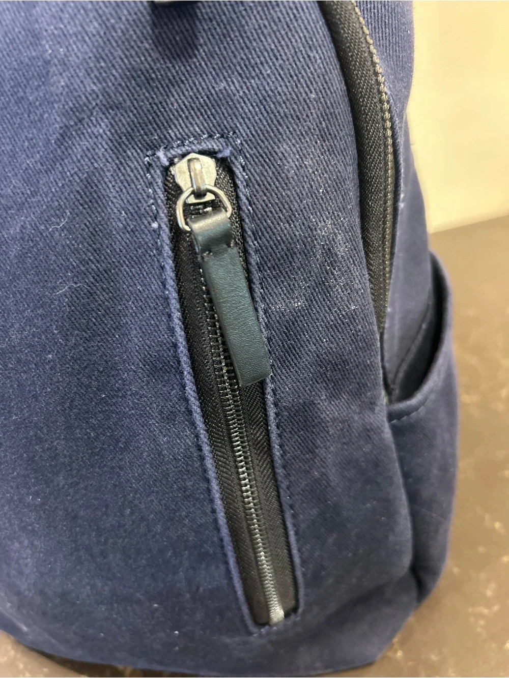 Everlane Modern Commuter Canvas Backpack